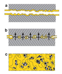 东莞万能产品订购热线：400-660-6100